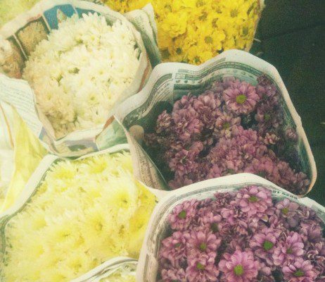 Flower Market Visiting